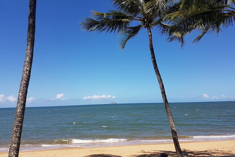Airport Transfers Between Cairns Airport And Palm Cove - Find Attractions 8
