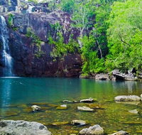 Reef Wildlife  Rainforest - Reef  Beyond Guided Holidays - Find Attractions