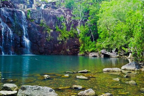 Reef, Wildlife & Rainforest - Reef & Beyond Guided Holidays - Find Attractions 0