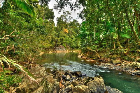 Reef, Wildlife & Rainforest - Reef & Beyond Guided Holidays - Find Attractions 3