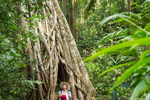 Reef, Wildlife & Rainforest - Reef & Beyond Guided Holidays - Find Attractions 2