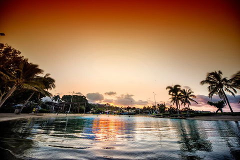 Reef, Wildlife & Rainforest - Reef & Beyond Guided Holidays - Find Attractions 6