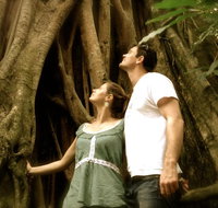 Daintree and Cape Tribulation Full Day Guided Tour - Find Attractions