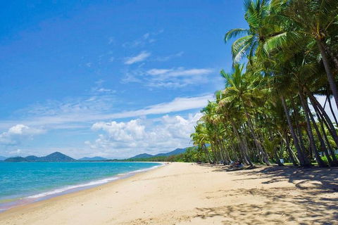 Airport Transfer - Cairns Airport To Palm Cove, Kewarra & Trinity Beaches - Find Attractions 4