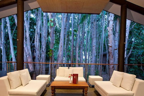 Airport Transfer - Cairns Airport To Palm Cove, Kewarra & Trinity Beaches - Find Attractions 2