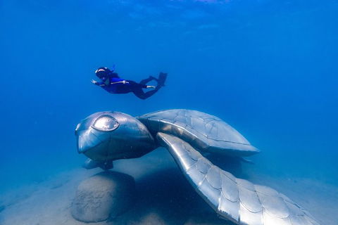 Premium Private Charter - Find Attractions 9