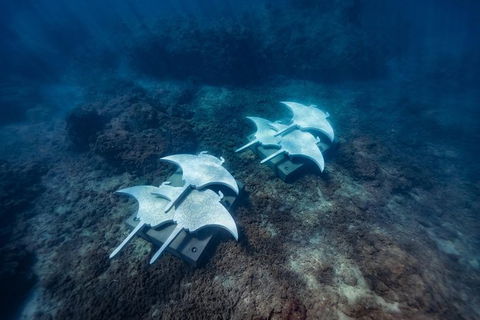 Premium Private Charter - Find Attractions 8