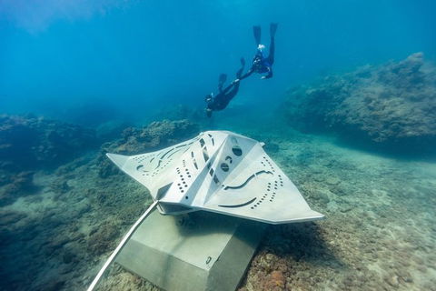 Premium Private Charter - Find Attractions 10
