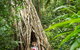 Rainforest To Reef Experience - Reef And Beyond Guided Holidays - thumb 2