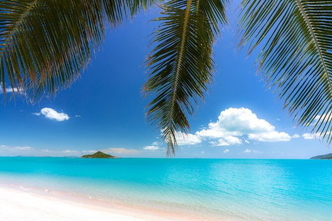 Rainforest To Reef Experience - Reef And Beyond Guided Holidays - Find Attractions 1