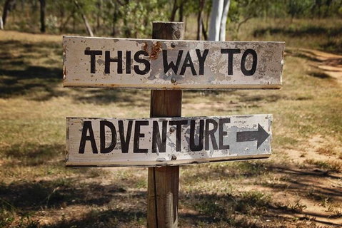 Rainforest To Reef Experience - Reef And Beyond Guided Holidays - Find Attractions 6