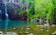 Rainforest To Reef Experience - Reef And Beyond Guided Holidays - thumb 5
