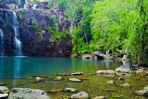 Rainforest To Reef Experience - Reef And Beyond Guided Holidays - Find Attractions 5