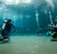 Learn To Scuba Dive 4 Day Great Barrier Reef PADI Open Water Course Day Trips - Find Attractions