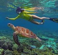 3 Day Cape Tribulation and Great Barrier Reef Package - Find Attractions