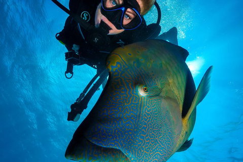 Gold Class VIP Great Barrier Reef Cruise From Cairns By Luxury Superyacht - Find Attractions 7