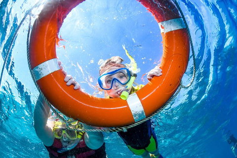 Gold Class VIP Great Barrier Reef Cruise From Cairns By Luxury Superyacht - Find Attractions 5