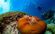 Gold Class VIP Great Barrier Reef Cruise From Cairns By Luxury Superyacht - thumb 4