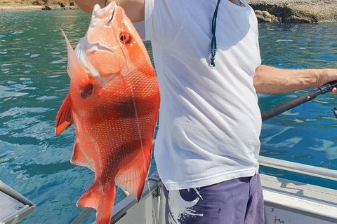 Adventure Fishing Combo Day - Fish, Swim, Whitehaven, Hill Inlet Bush Walking - Find Attractions 2