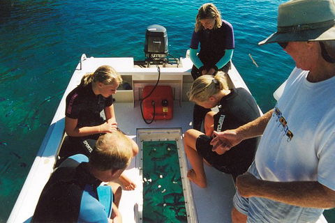 Great Barrier Reef Private Expedition Cruise (min 4 Day Max 8 Guests) - Find Attractions 1