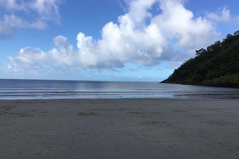 Daintree Luxury Limousine Tour - Full Day - Find Attractions 6