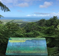 Daintree Luxury Limousine Tour - Full Day - Find Attractions