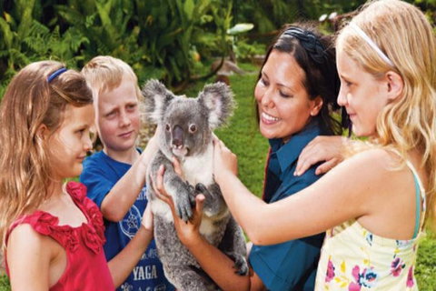 Kuranda Day Tour + HotAir Balloon Combo - Find Attractions 9