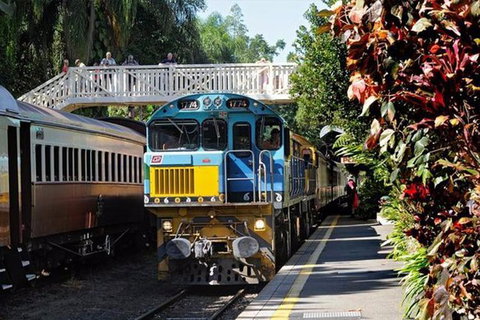 Kuranda Day Tour + HotAir Balloon Combo - Find Attractions 3