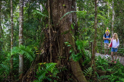 Kuranda Day Tour + HotAir Balloon Combo - Find Attractions 11