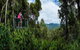 Kuranda Day Tour + HotAir Balloon Combo - thumb 6