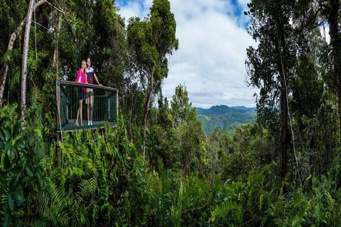 Kuranda Day Tour + HotAir Balloon Combo - Find Attractions 6
