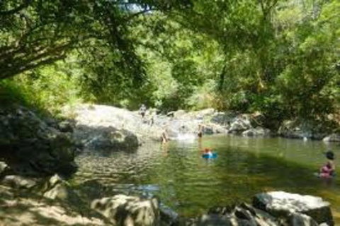 Waterfall And Wallabies Sighting Tour - Find Attractions 2