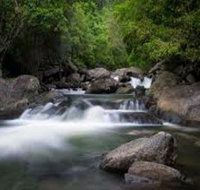 Waterfall and Wallabies Sighting Tour - Find Attractions