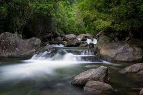 Waterfall And Wallabies Sighting Tour - Find Attractions 0