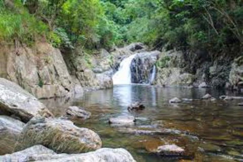 Waterfall And Wallabies Sighting Tour - Find Attractions 4