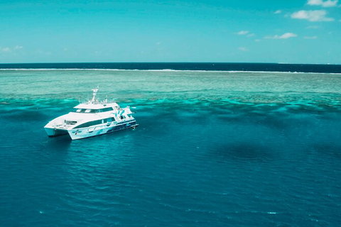 Australia East Coast: End Of Semester - Find Attractions 1