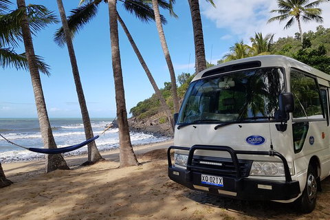 Cairns To Port Douglas Shuttle Services, 3 Times Per Day - Find Attractions 4