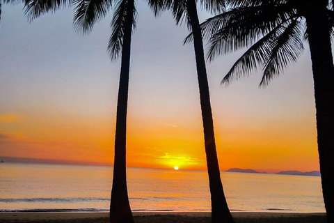 Private Transfers - Cairns Airport To Palm Cove - Find Attractions 9