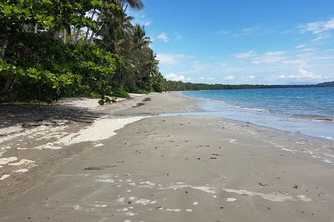 Private Transfers - Cairns Airport To Palm Cove - Find Attractions 1