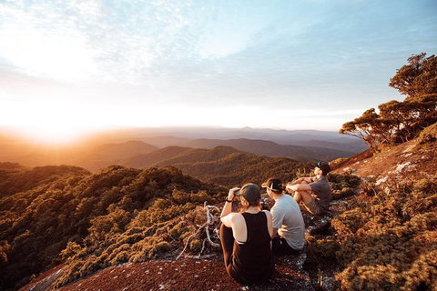 Cairns Rainforest Hiking Experience Incredible Mountains Remote Waterfall - Find Attractions 6