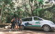 Cairns Rainforest Hiking Experience Incredible Mountains Remote Waterfall - thumb 5