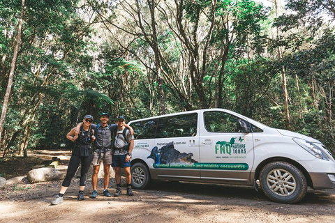 Cairns Rainforest Hiking Experience Incredible Mountains Remote Waterfall - Find Attractions 5