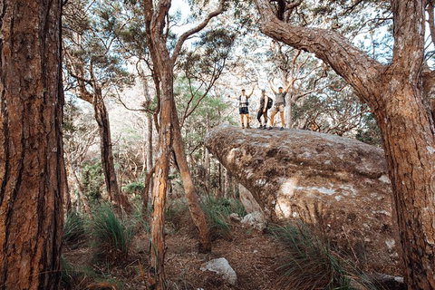 Cairns Rainforest Hiking Experience Incredible Mountains Remote Waterfall - Find Attractions 3