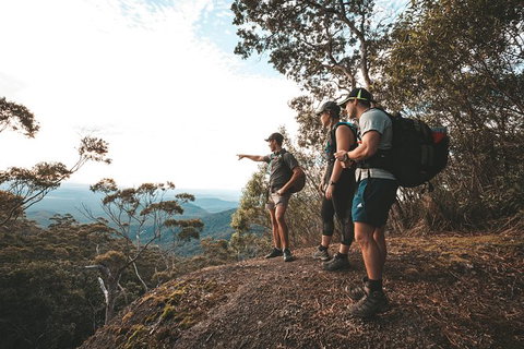 Cairns Rainforest Hiking Experience Incredible Mountains Remote Waterfall - Find Attractions 7