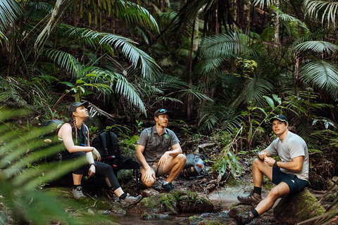 Cairns Rainforest Hiking Experience Incredible Mountains Remote Waterfall - Find Attractions 4