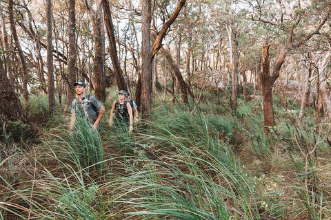 Cairns Rainforest Hiking Experience Incredible Mountains Remote Waterfall - Find Attractions 8