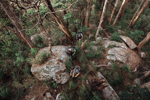 Cairns Rainforest Hiking Experience Incredible Mountains Remote Waterfall - Find Attractions 1