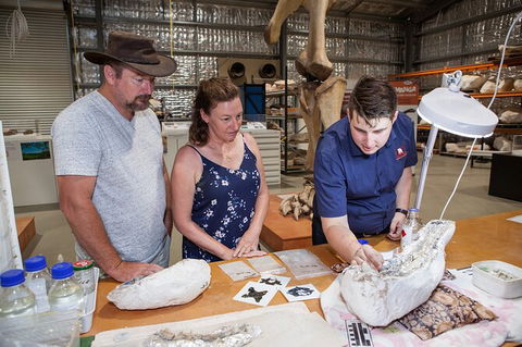 Australian Dinosaur Giants Tour - Find Attractions 0