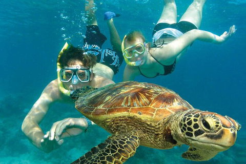 Cairns Pullman Cairns International 5 Nights Package Combo - Find Attractions 4