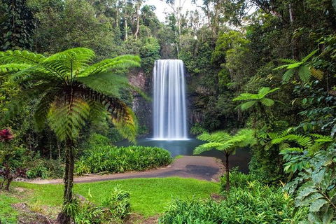 Cairns & Port Douglas All-Inclusive 7 Days Touring Package - Find Attractions 5
